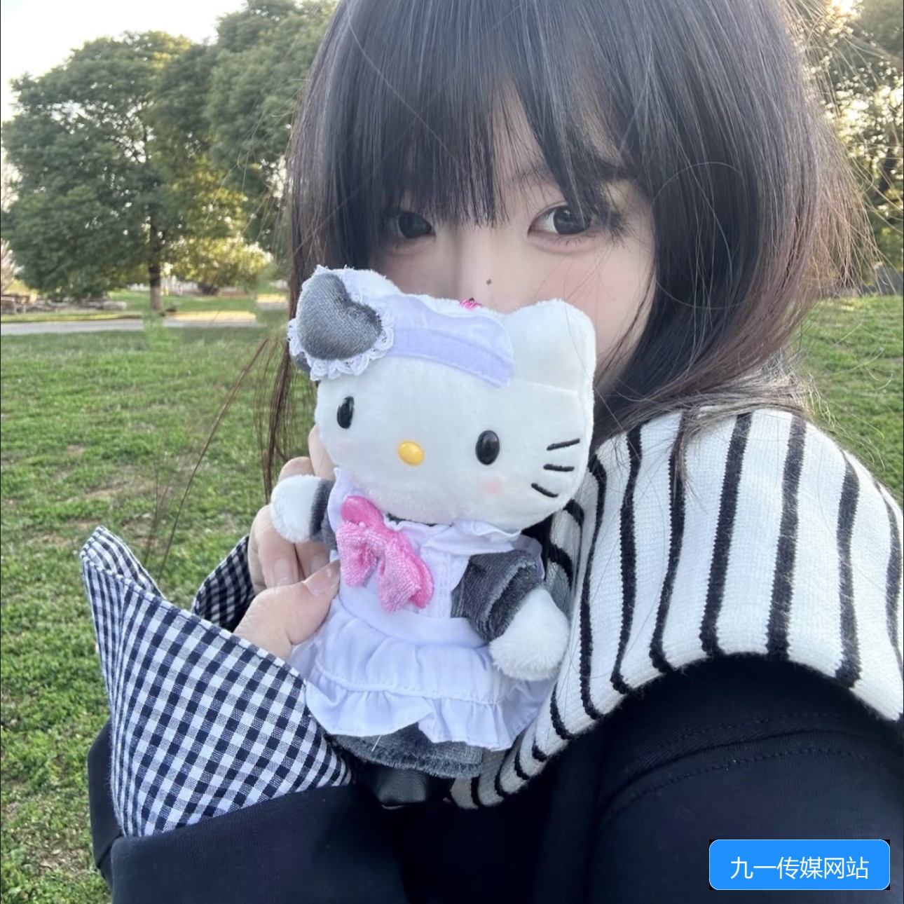 九一传媒网站入口网页版怎么登录使用详细指南